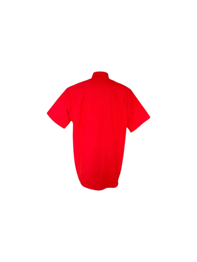 Embroidered short sleeve cotton shirt, photo 3 of 7