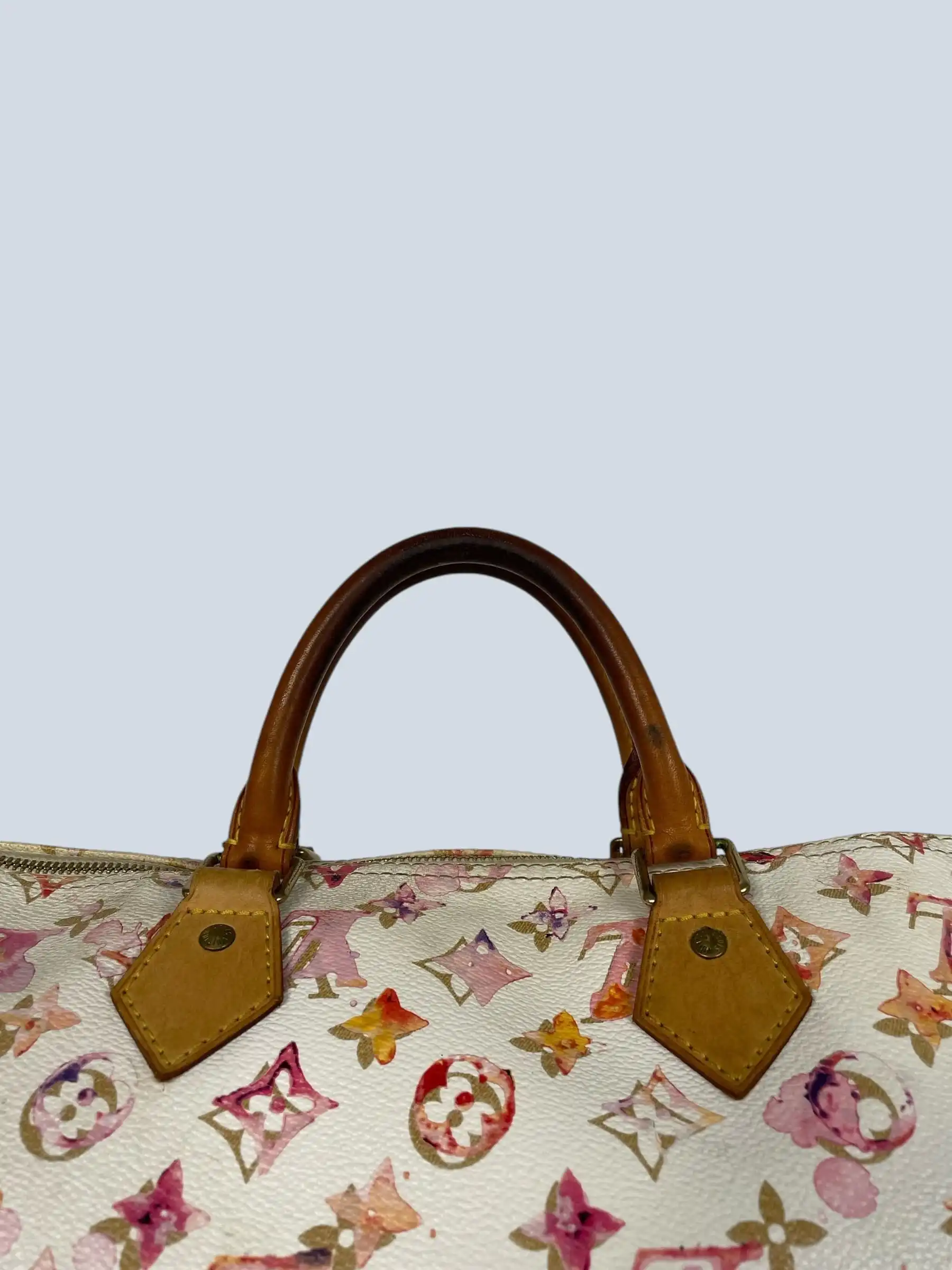 Louis Vuitton x Richard Prince borsa a mano Speedy 35 Aquarelle Monogram