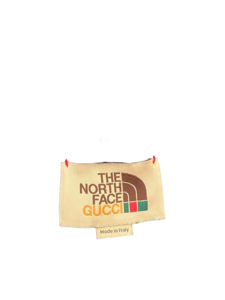 x The North Face, cotton logo and web shorts, photo 6 of 11