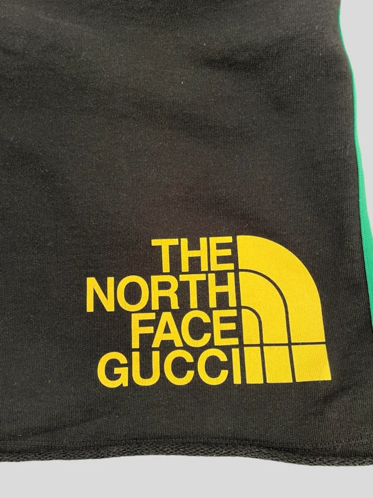 x The North Face, cotton logo and web shorts, photo 5 of 11