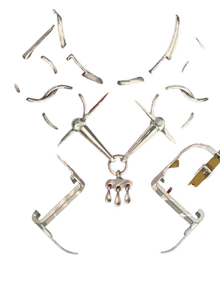 Silk “Mors à Jouets” carré, photo 5 of 7