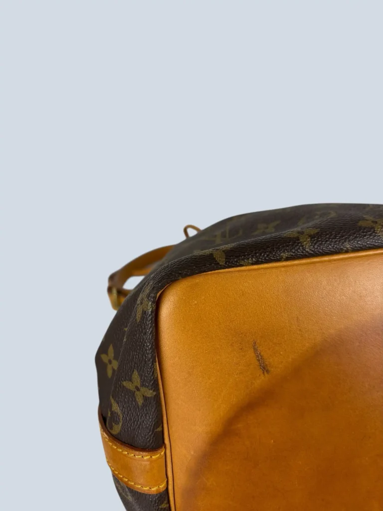 Borsa a spalla Sac Petit Noé in tela Monogram., foto 6 di 10