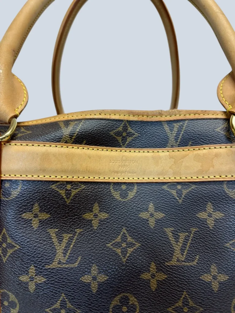 Dog Carrier in tela Monogram e pelle., foto 9 di 15