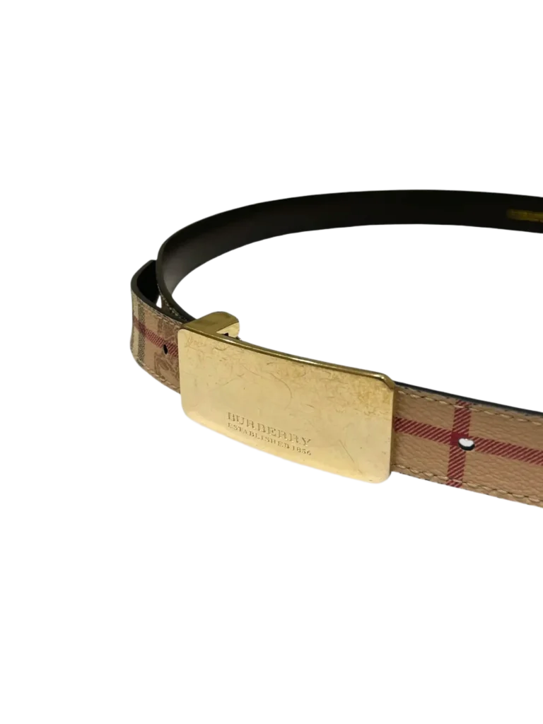 Check canvas and leather belt, 100., photo 4 of 5