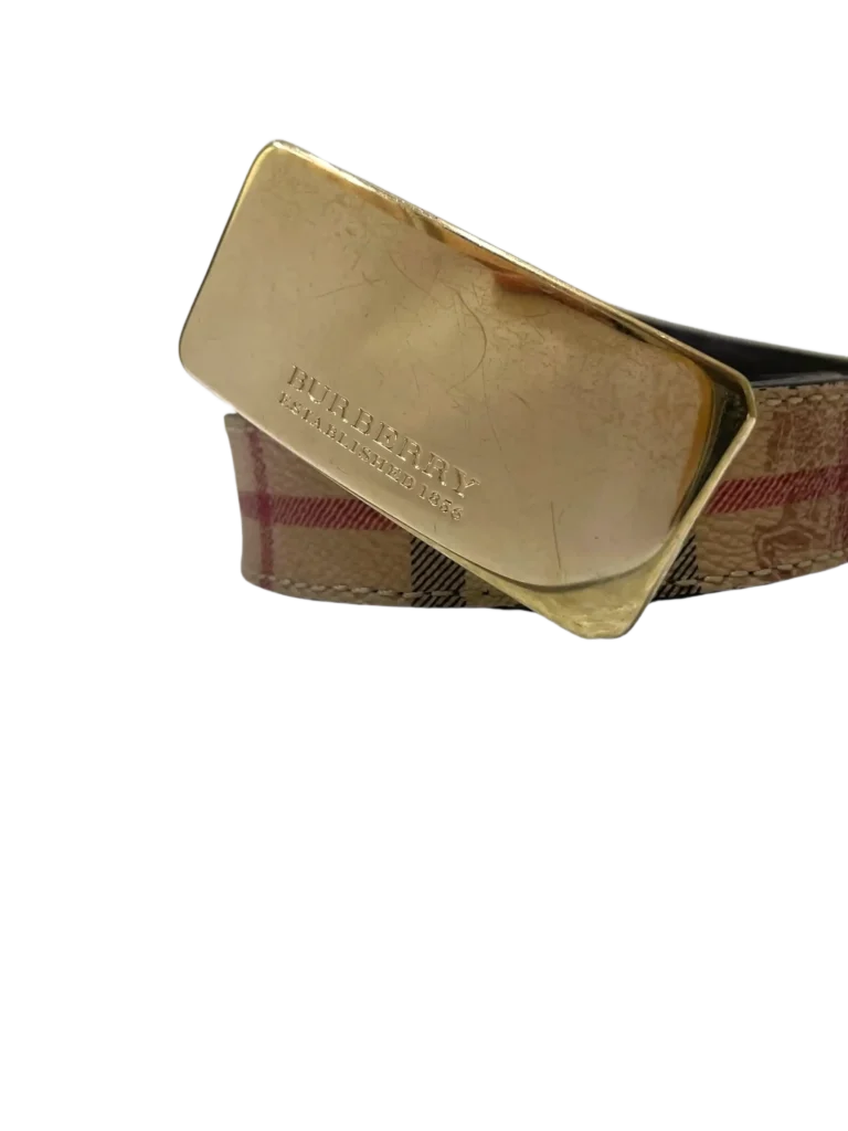 Check canvas and leather belt, 100., photo 3 of 5