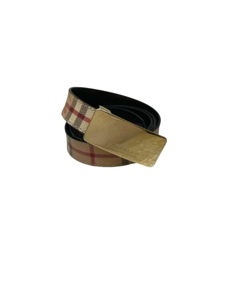 Check canvas and leather belt, 100., photo 2 of 5
