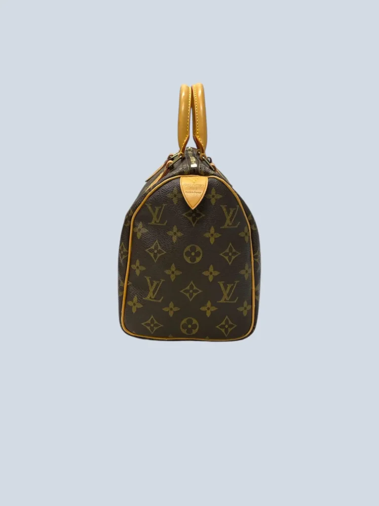 Borsa a mano Speedy 25 in tela Monogram., foto 3 di 13