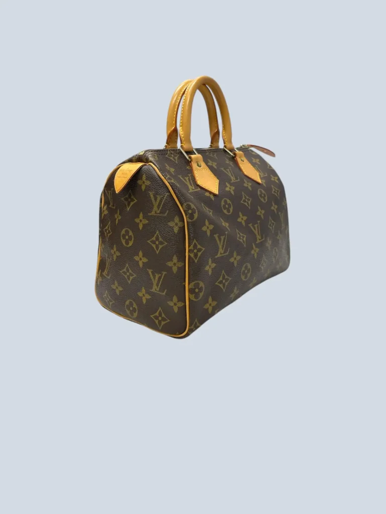 Borsa a mano Speedy 25 in tela Monogram., foto 2 di 13
