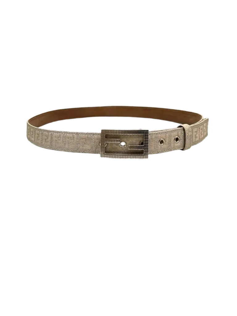Zucchino and lurex canvas belt, 95.