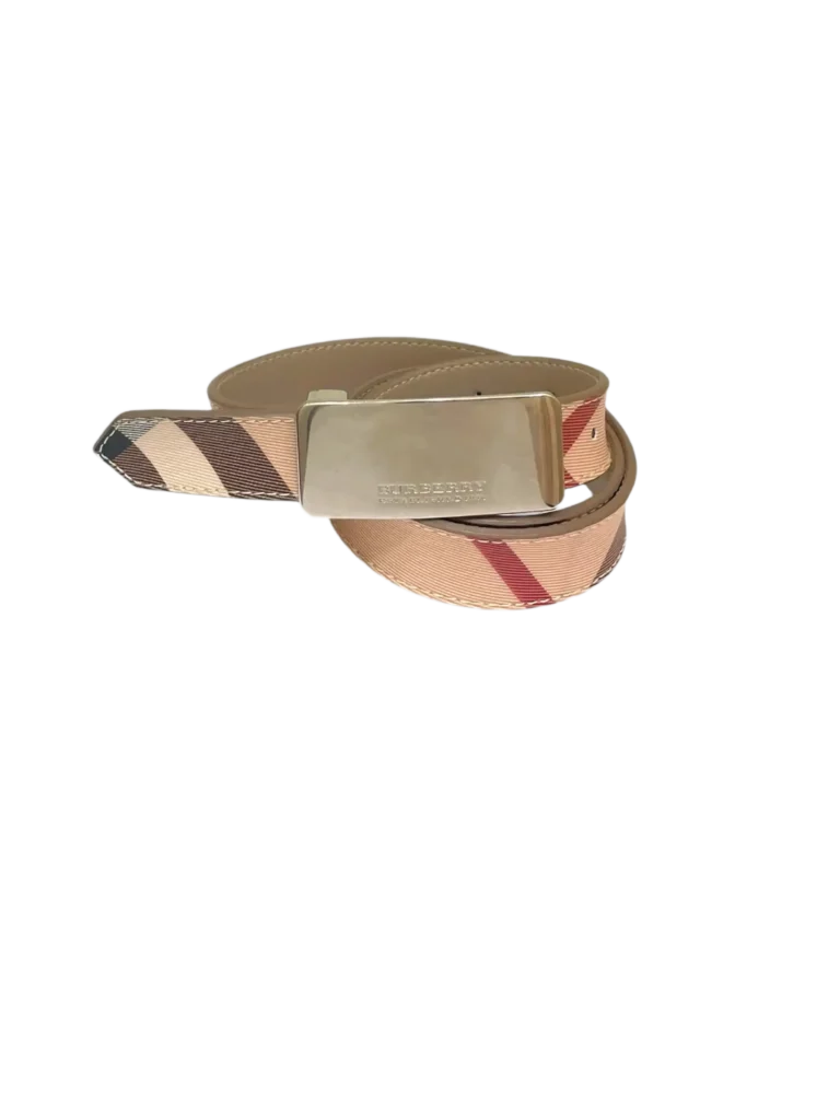 Check coated canvas and leather belt, 100., photo 2 of 4