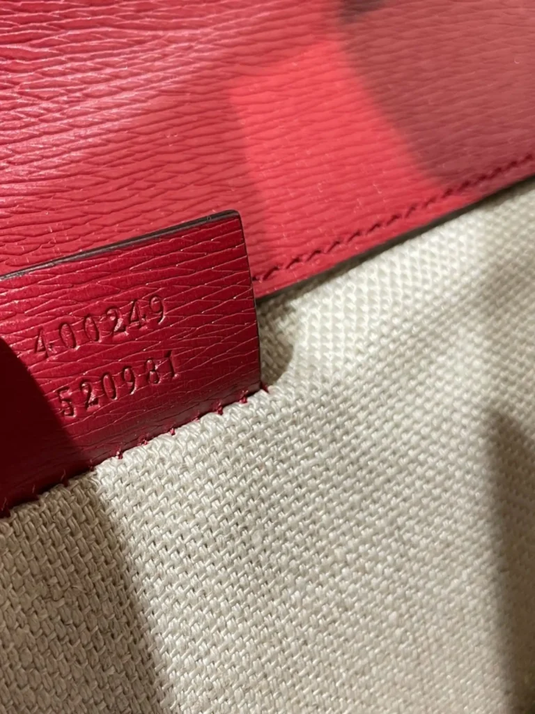 Borsa a spalla Dionysus Piccola in pelle con stampa Blooms., foto 9 di 10