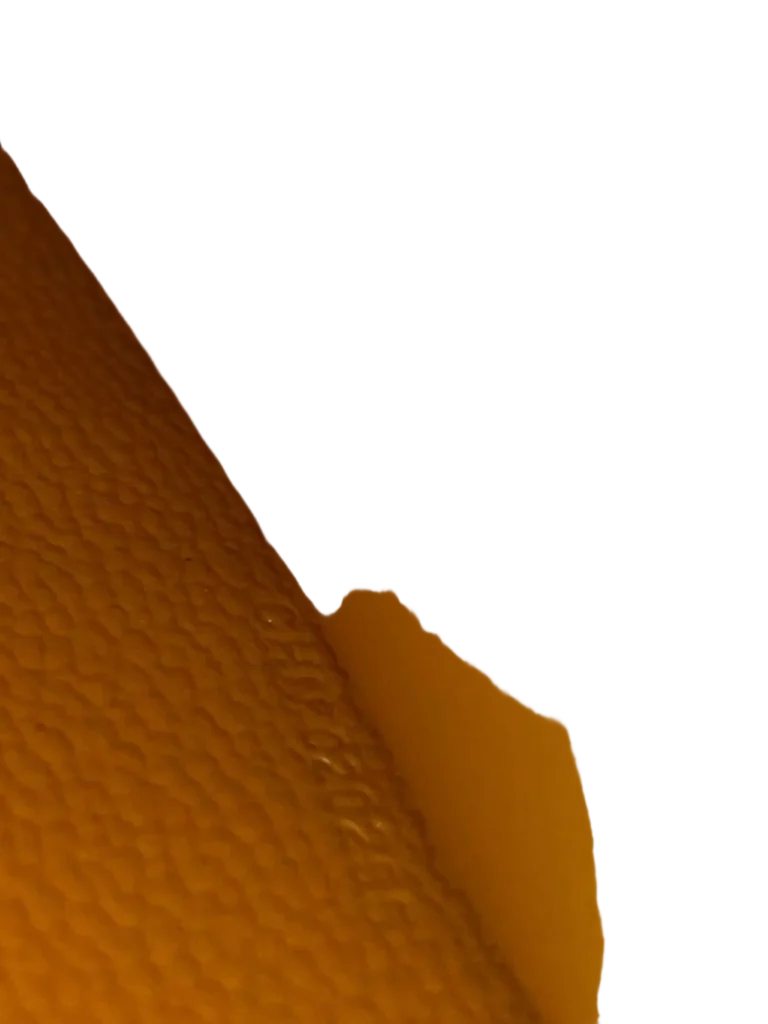 WOC Varenne Continental shoulder bag, photo 8 of 11