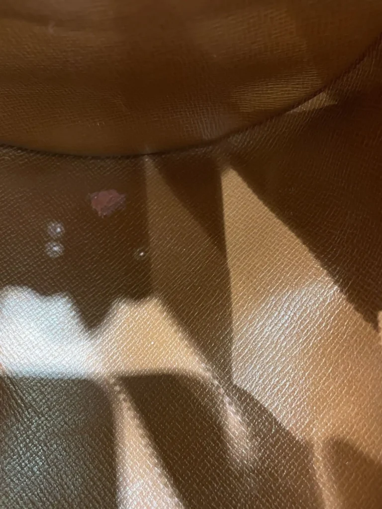 Borsa Papillon 31 in tela Monogram e pelle., foto 14 di 14