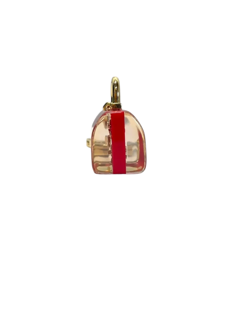 Monogram resin Inclusion Speedy keyring, photo 3 of 5
