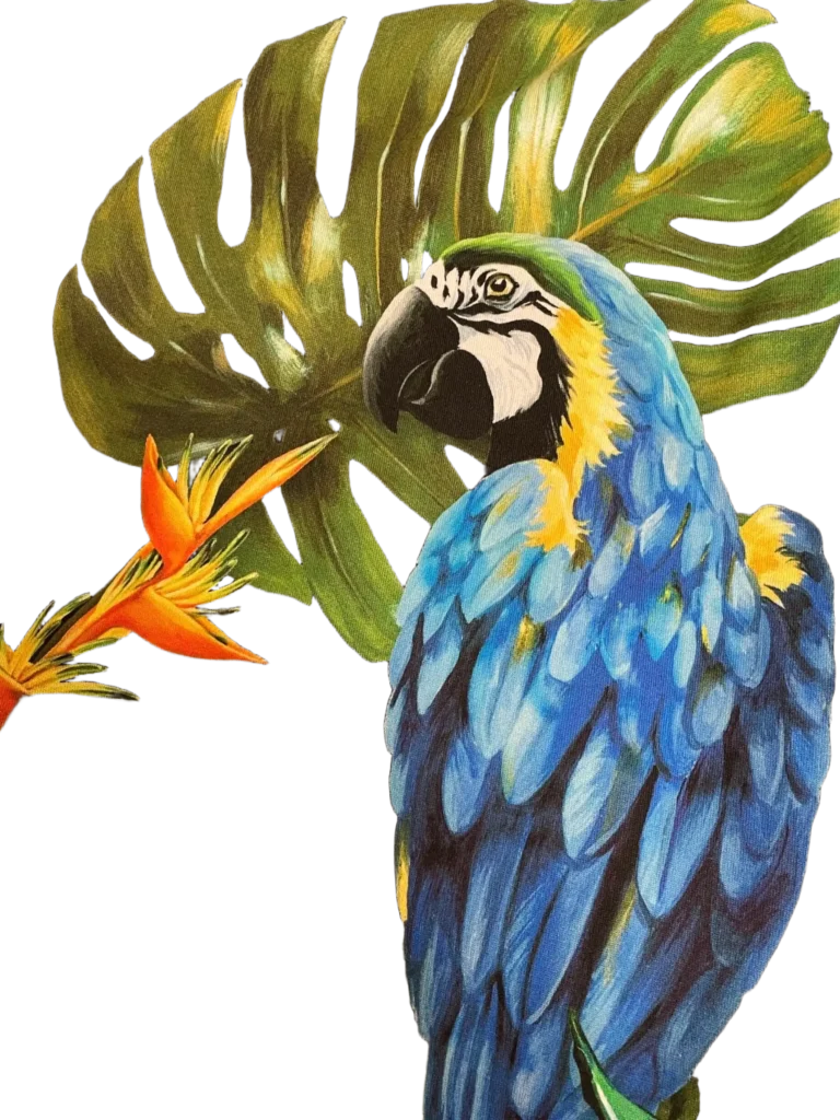 Cotton parrot print t-shirt, 48., photo 4 of 6