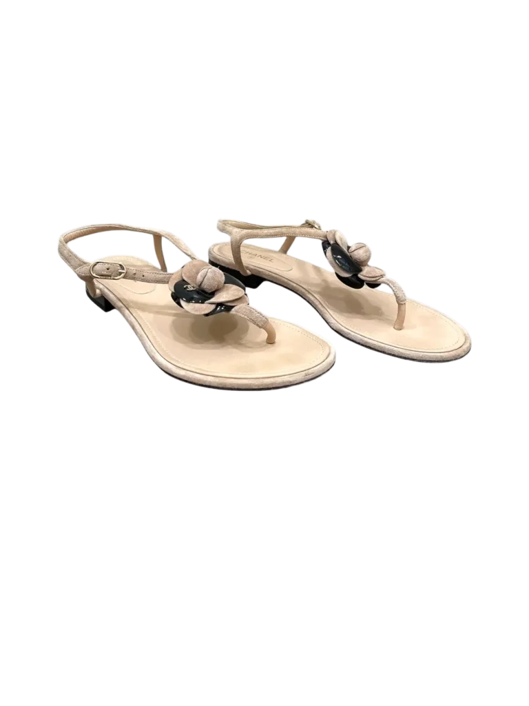 Sandali infradito Camelia logo in suede e vernice, 38,5C., foto 2 di 9