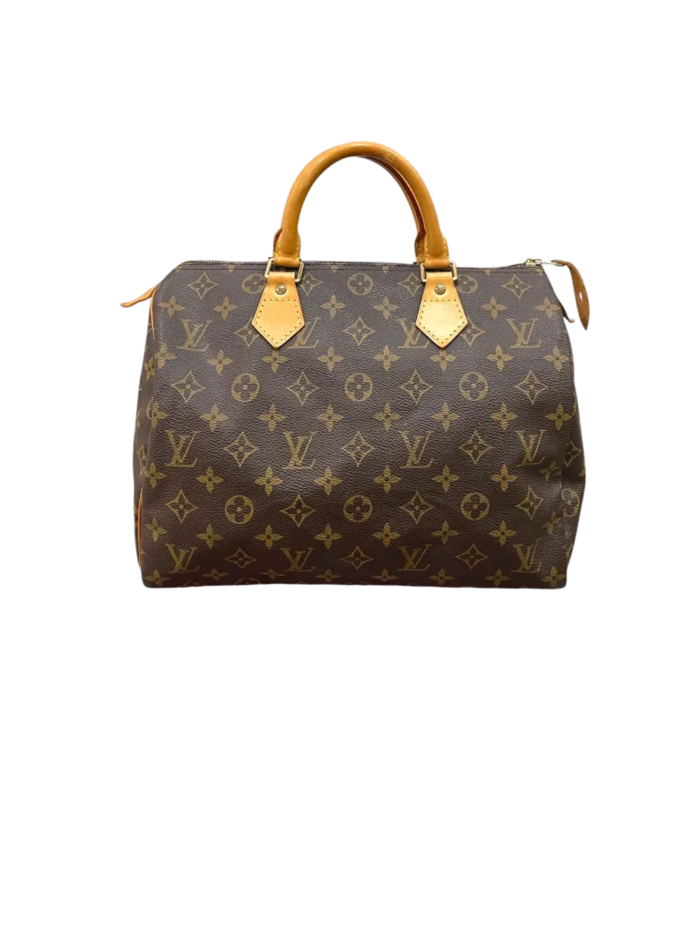 Borsa a mano Louis Vuitton vista frontale con tela Monogram.