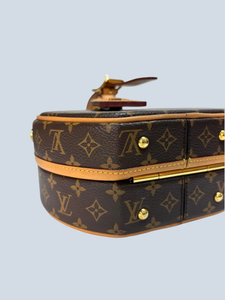 Petite Boîte Chapeau Monogram canvas shoulder bag, photo 9 of 11